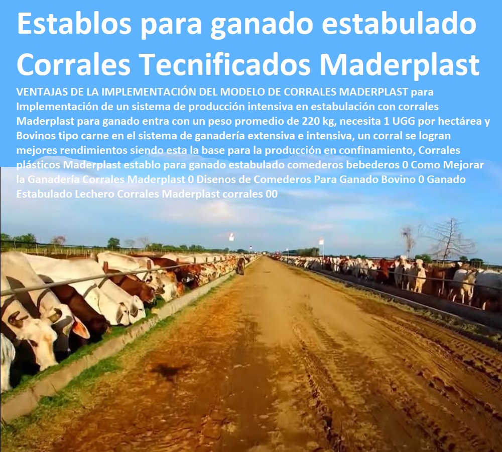 Corrales plásticos Ganaderías Tecnificadas, Explotación Ganadera Automatizada, Sistemas de Pastoreo, Estabulación de Ganado, Pastoreo Intensivo, Establos, Corrales, Saladeros, Comederos, Cerramientos, Postes, Maderplast establo para ganado estabulado comederos bebederos 0 Como Mejorar la Ganadería Corrales Maderplast 0 Disenos de Comederos Para Ganado Bovino 0 Ganado Estabulado Lechero Corrales Maderplast corrales 00 Corrales plásticos Maderplast establo para ganado estabulado comederos bebederos 0 Como Mejorar la Ganadería Corrales Maderplast 0 Disenos de Comederos Para Ganado Bovino 0 Ganado Estabulado Lechero Corrales Maderplast corrales 00